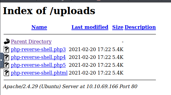 image-20210223190717386